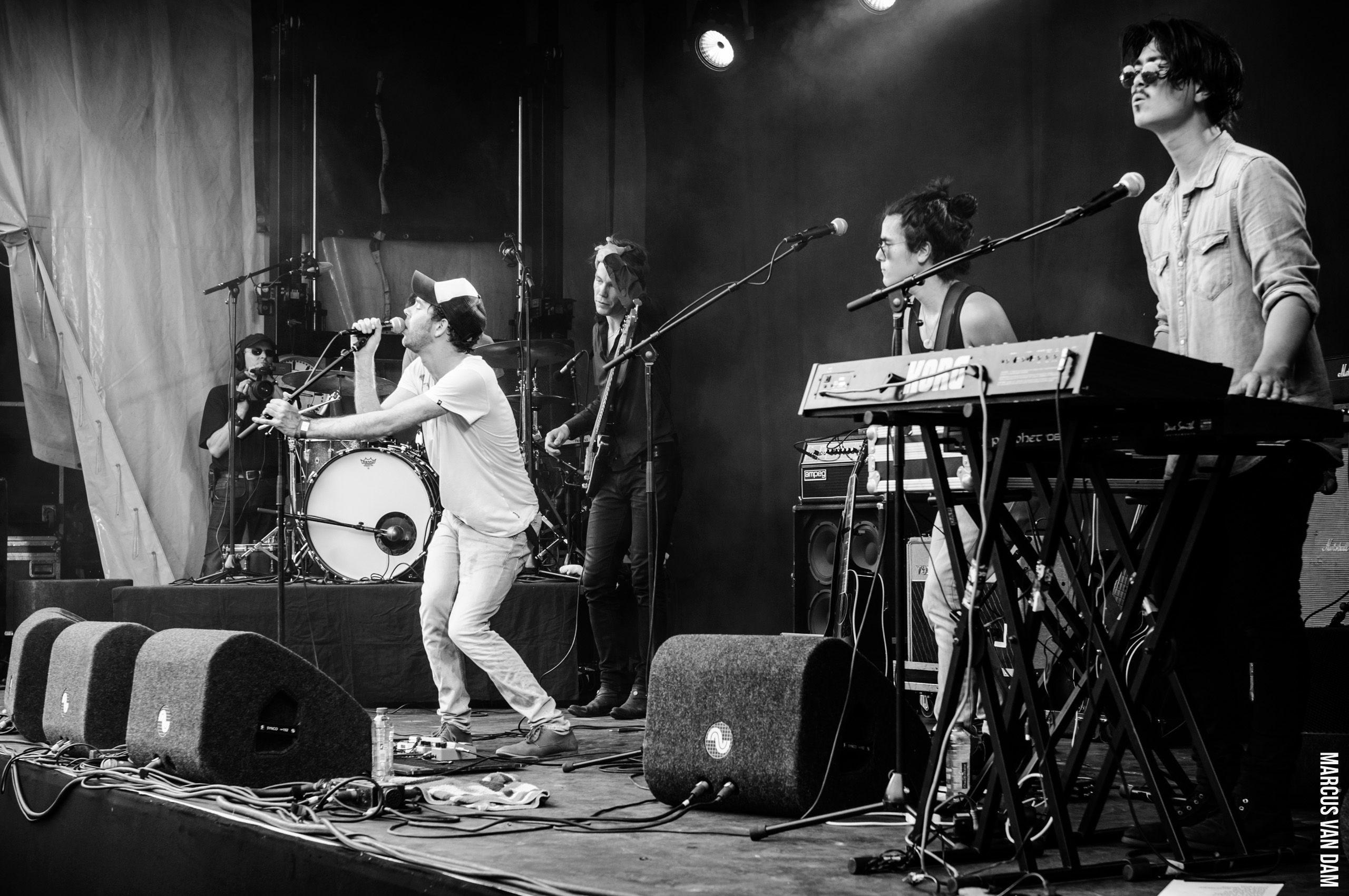 Beeckestijnpop (2014)