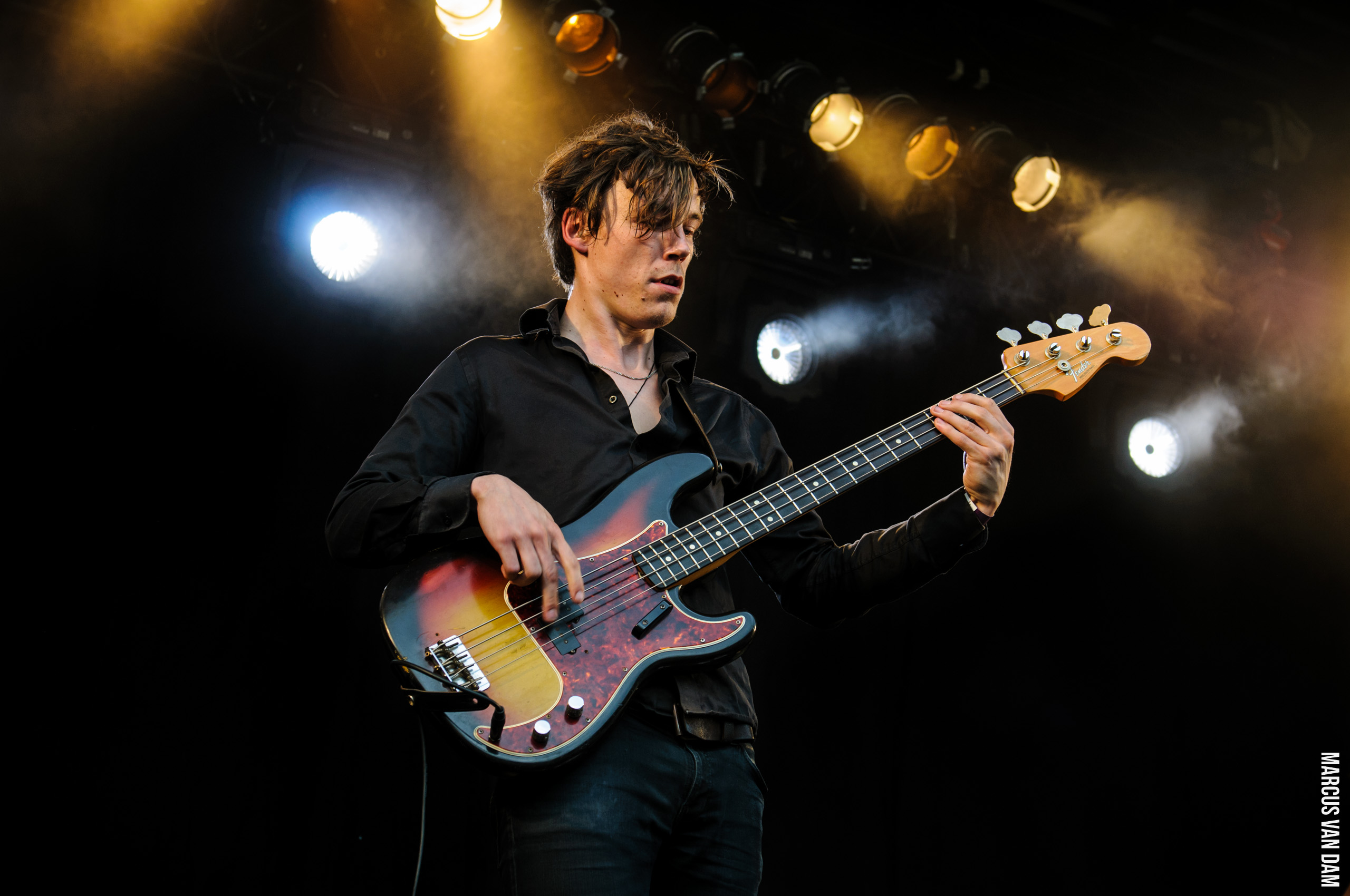 Beeckestijnpop (2014)