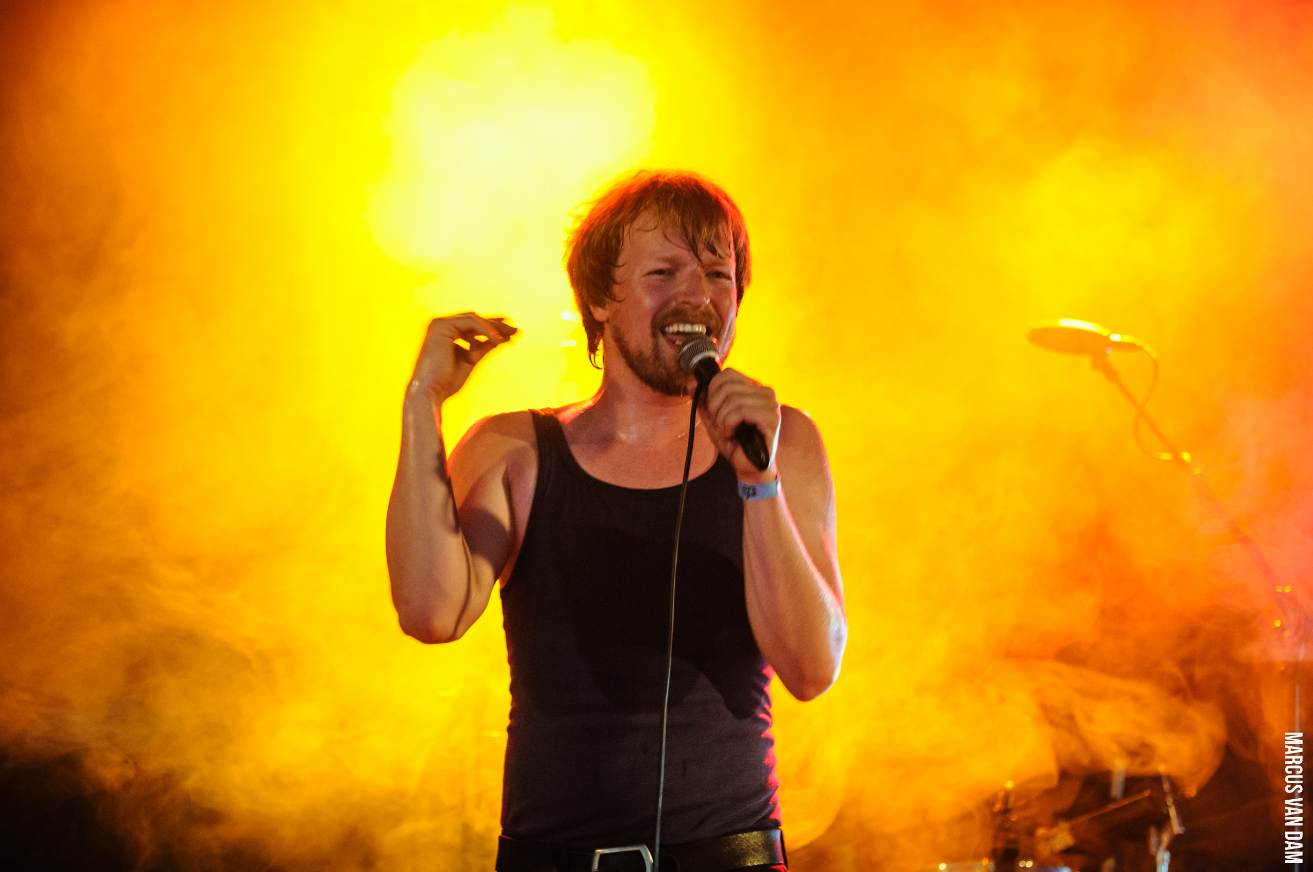 Beeckestijnpop (2014)