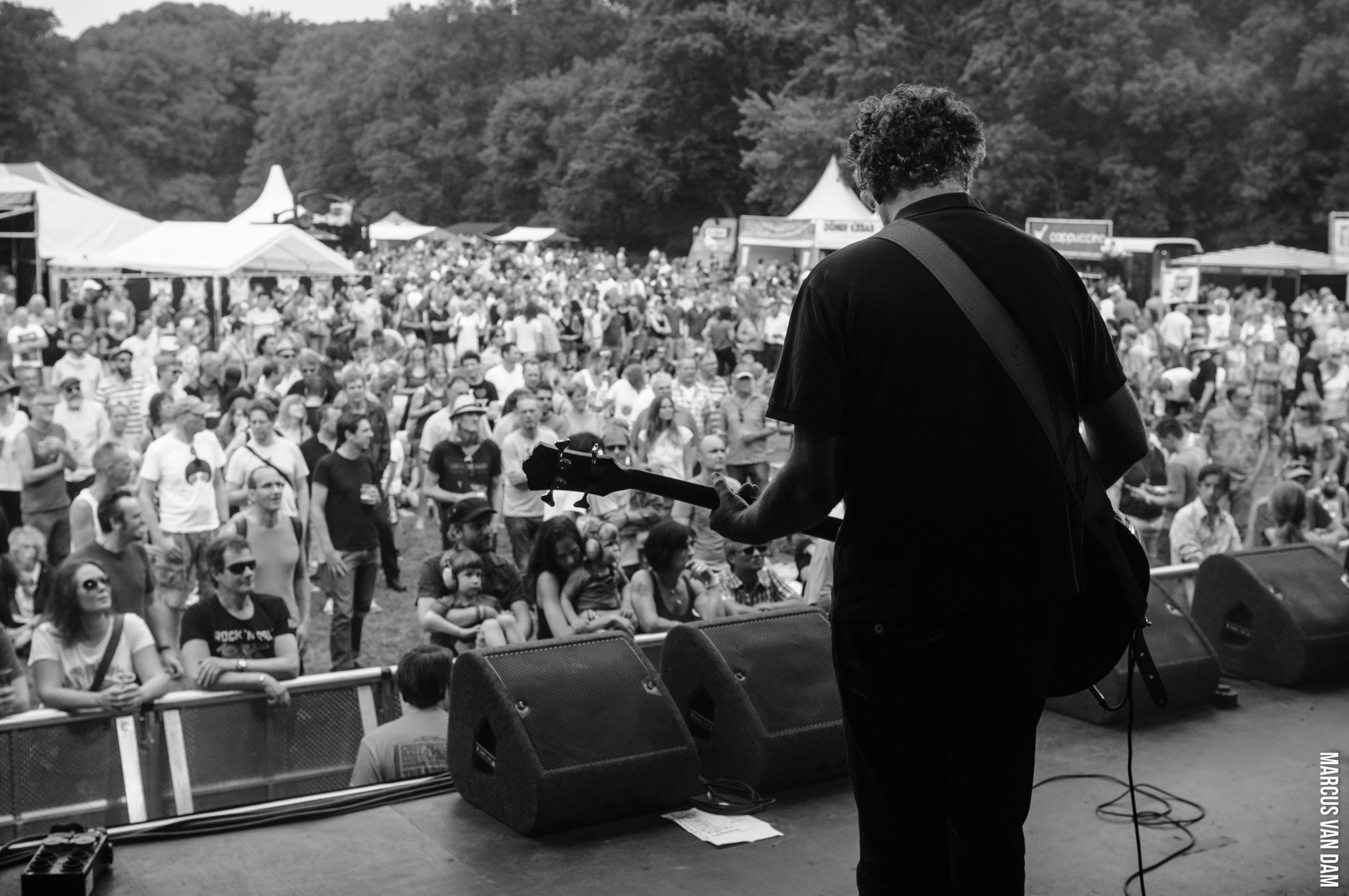 Beeckestijnpop (2014)