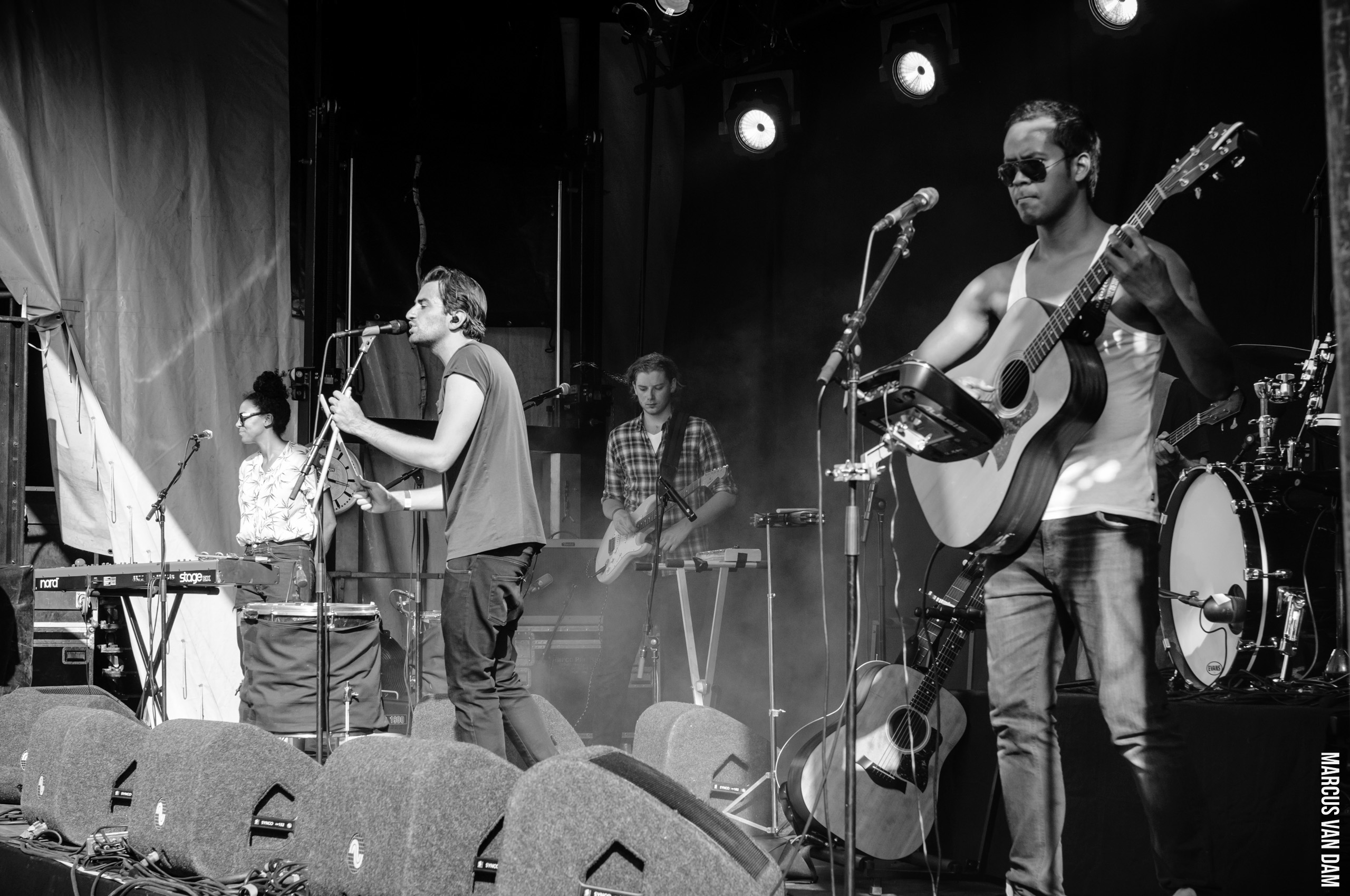 Beeckestijnpop (2014)