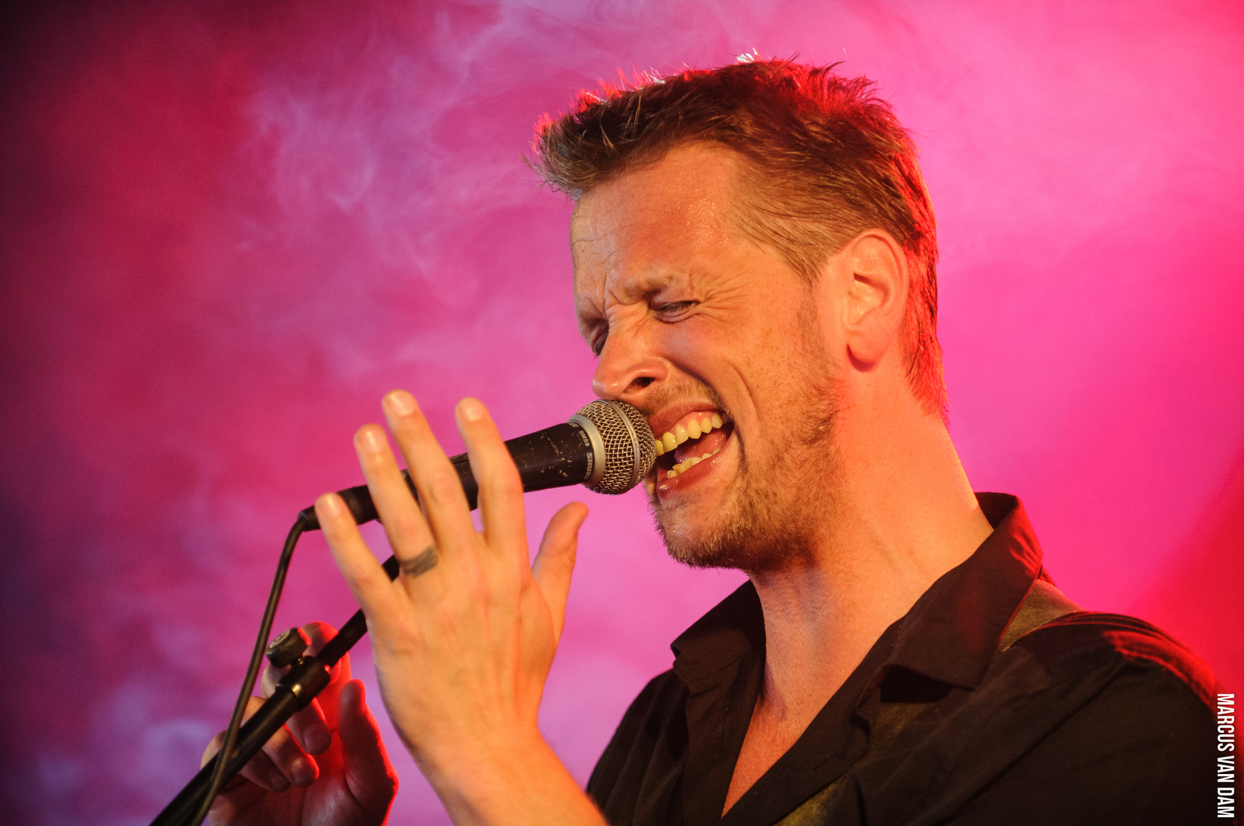 Beeckestijnpop (2014)