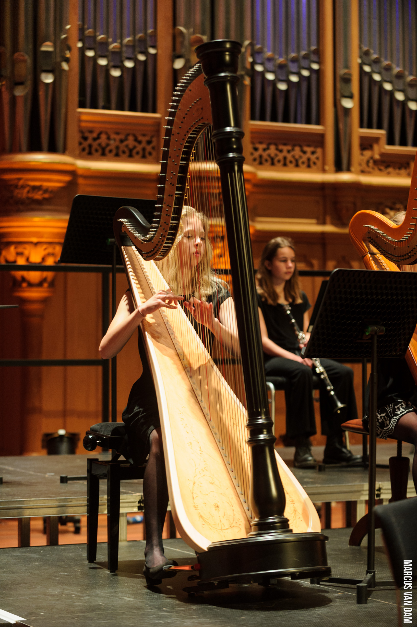 Bevrijdingspop (2021)