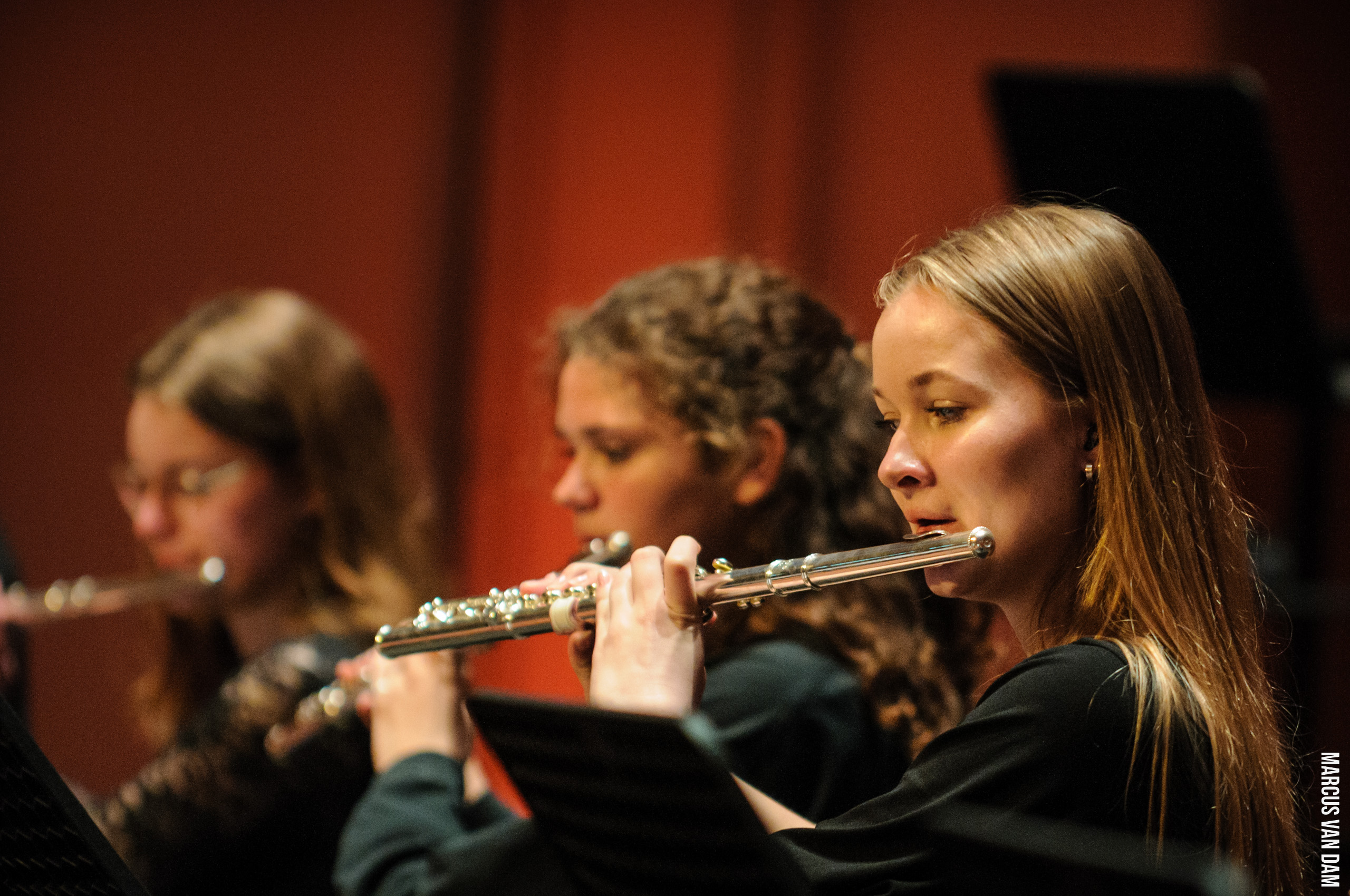 Bevrijdingspop (2021)