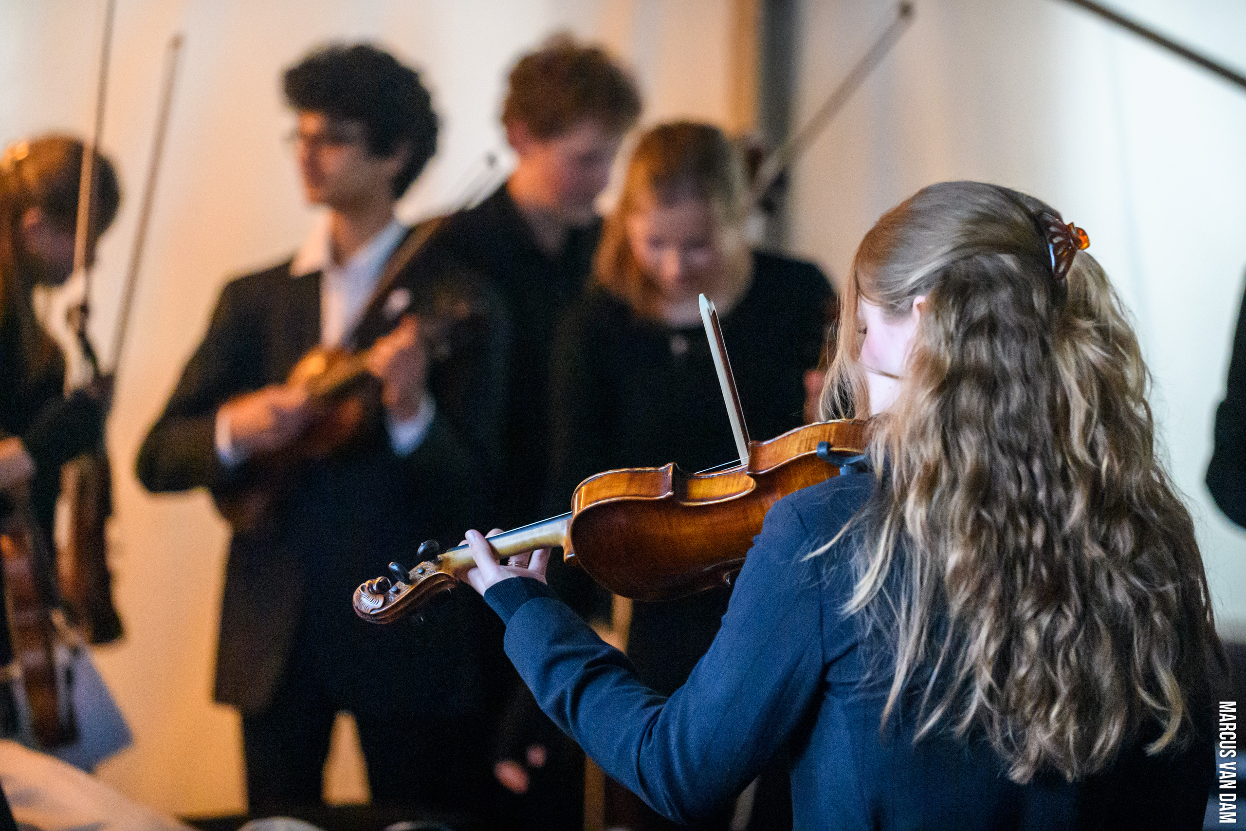 Bevrijdingspop (2024)