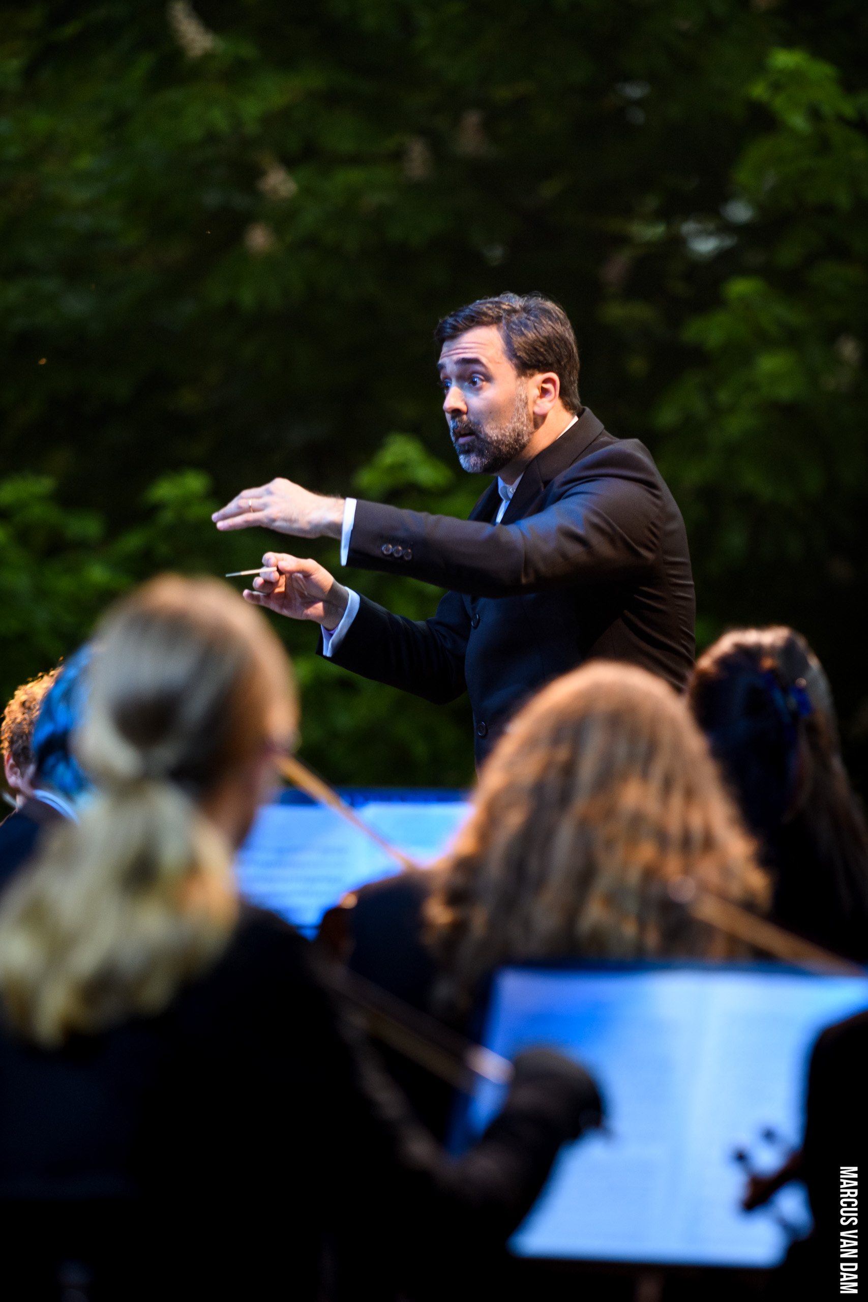 Bevrijdingspop (2024)