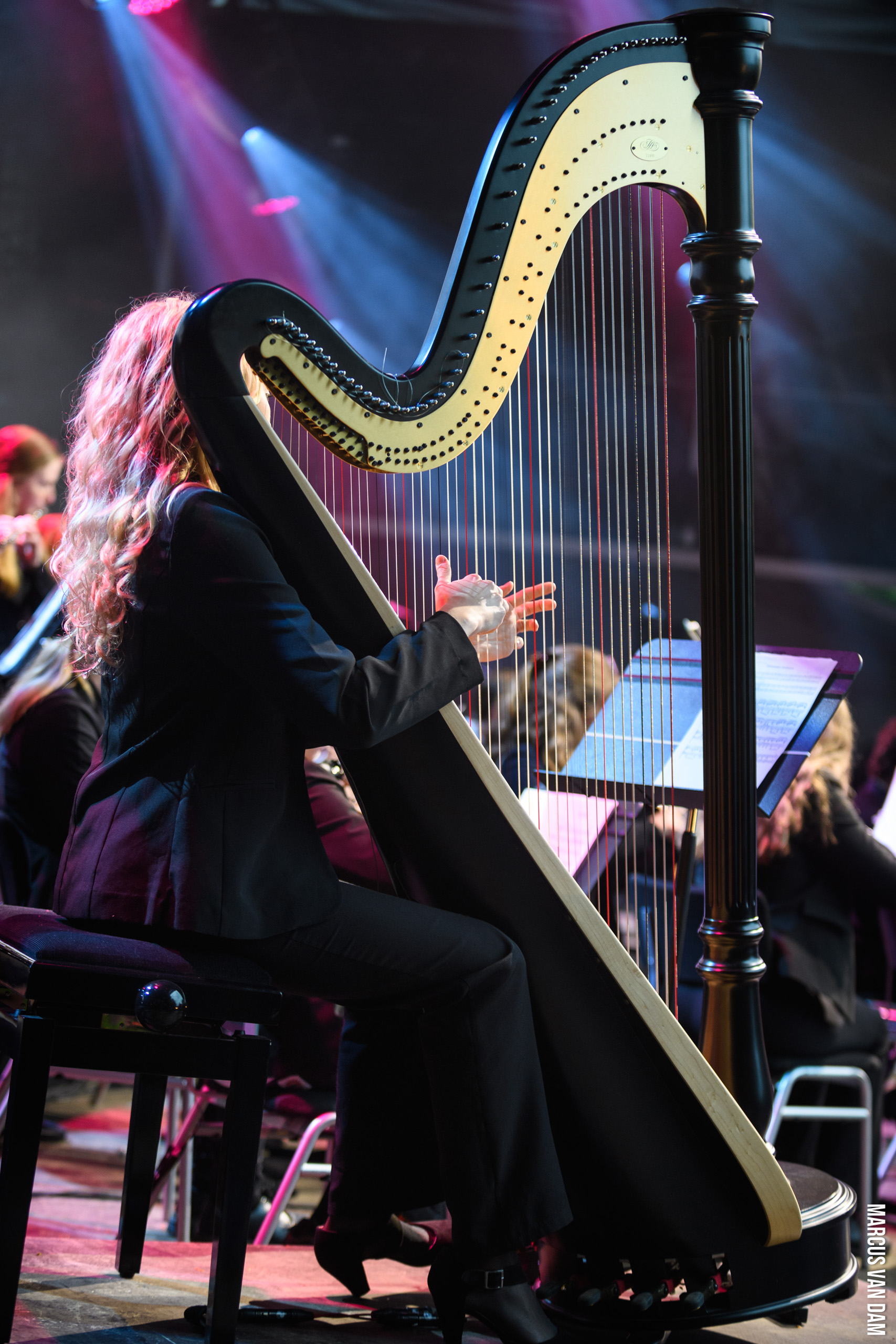 Bevrijdingspop (2024)