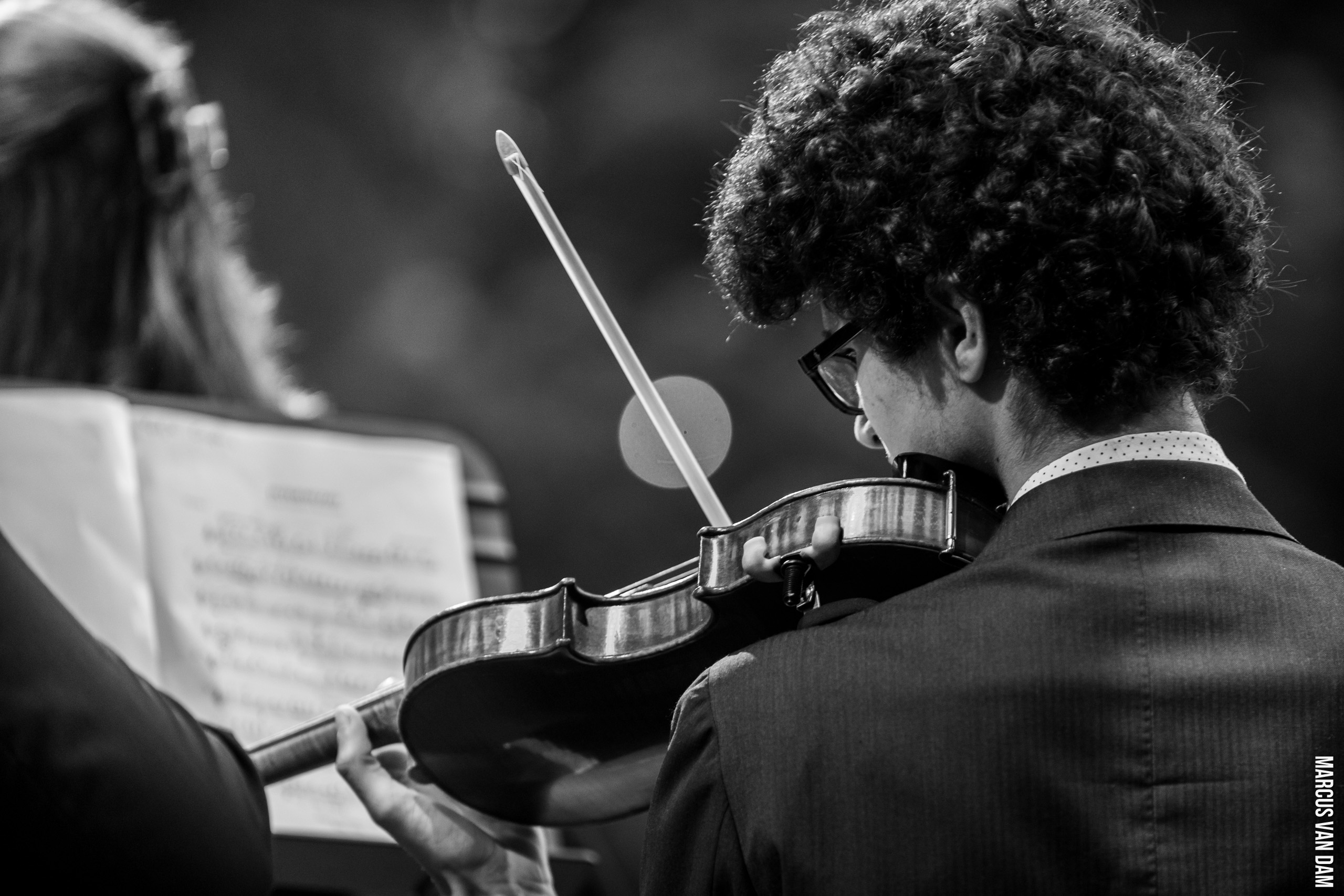 Bevrijdingspop (2024)