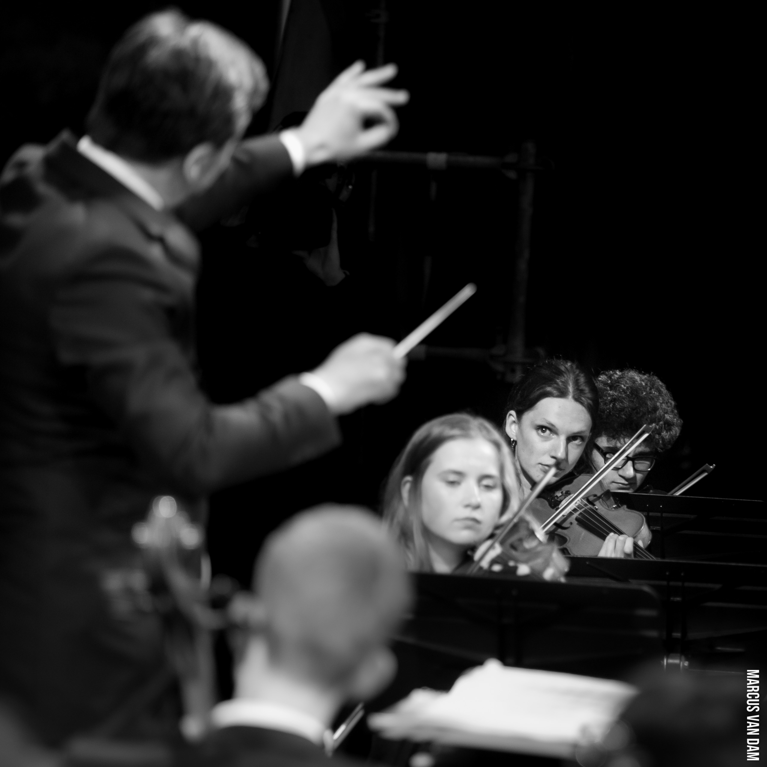 Bevrijdingspop (2024)