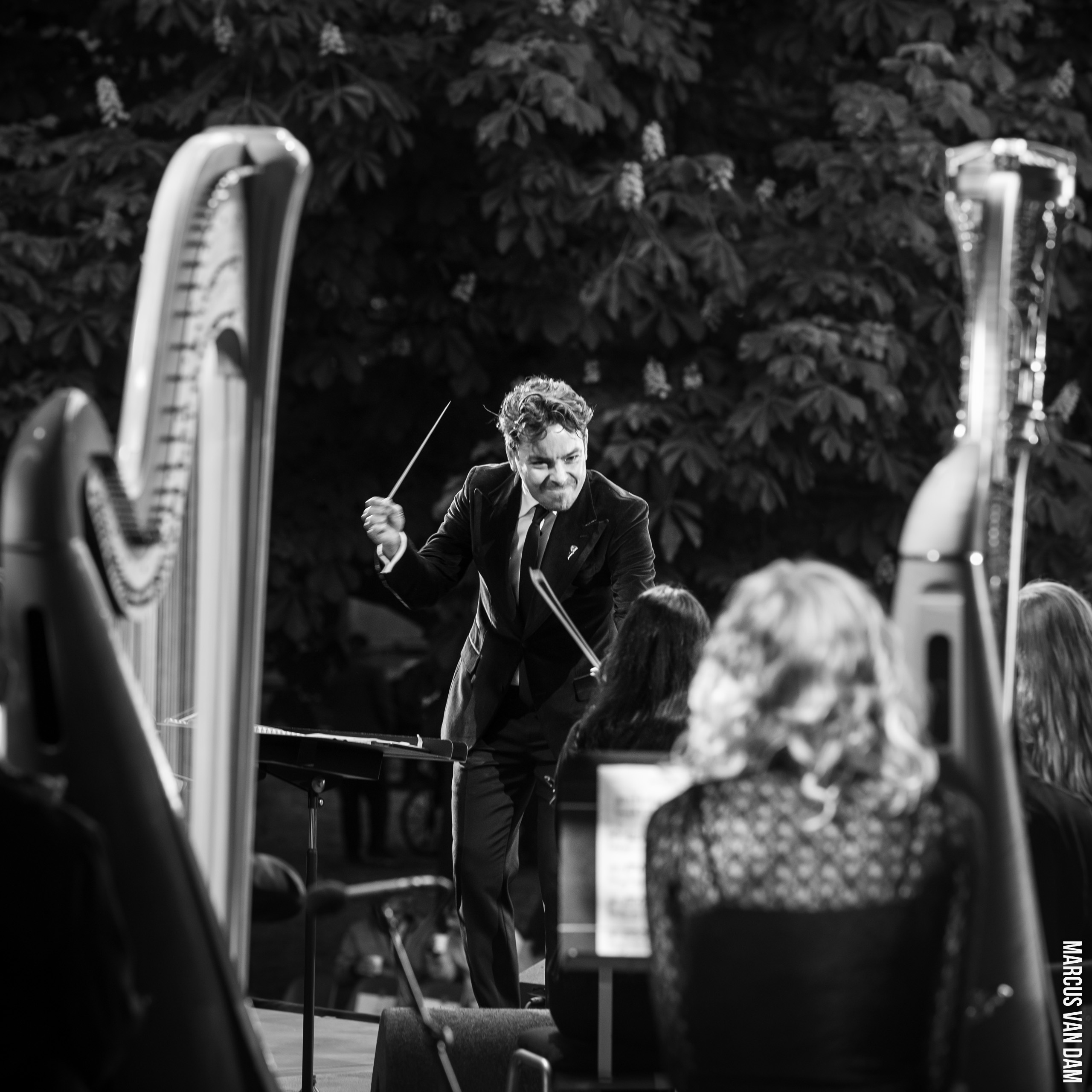 Bevrijdingspop (2025)