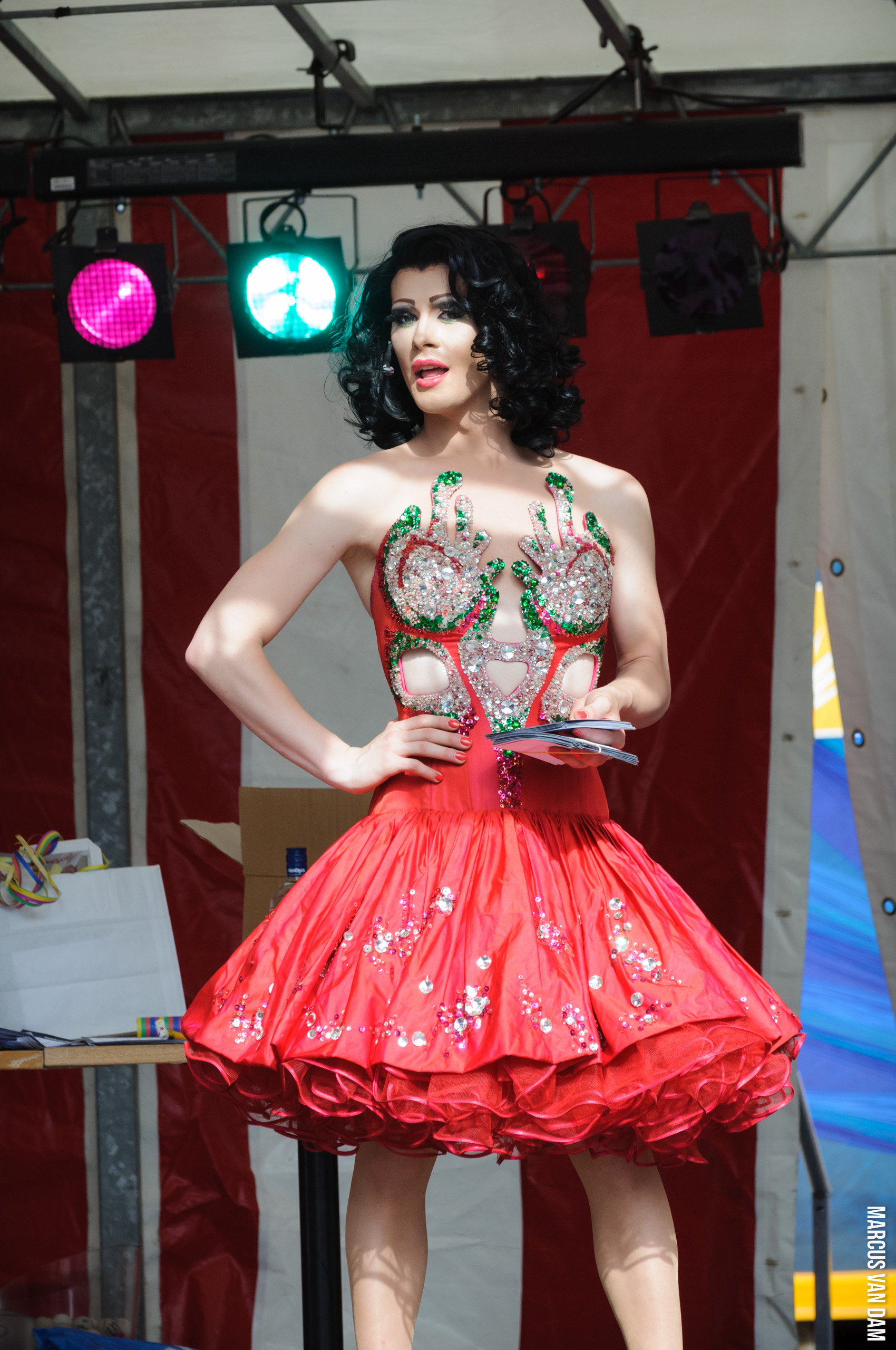 Roze Zaterdag (2012)