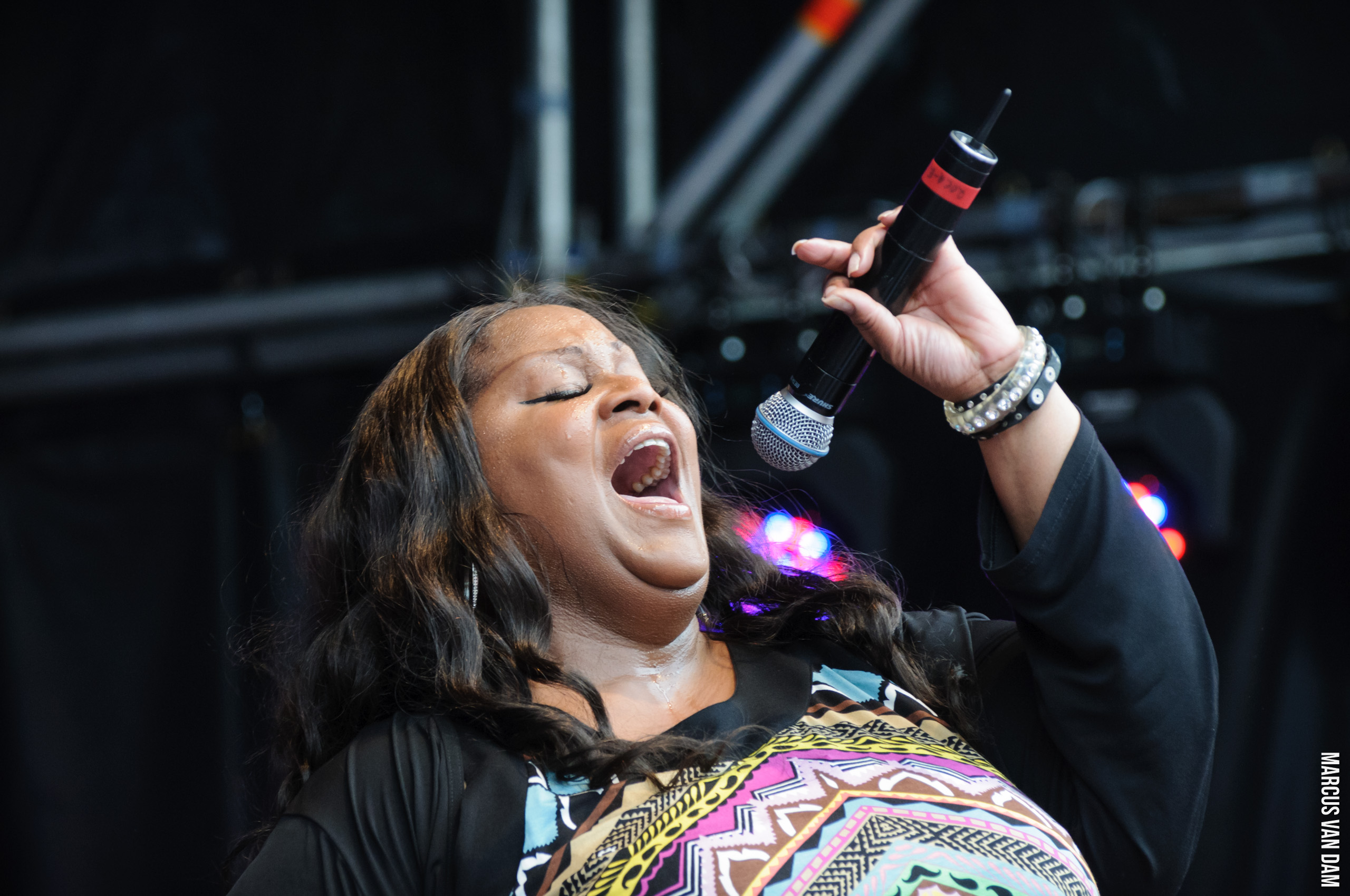 Roze Zaterdag (2012)