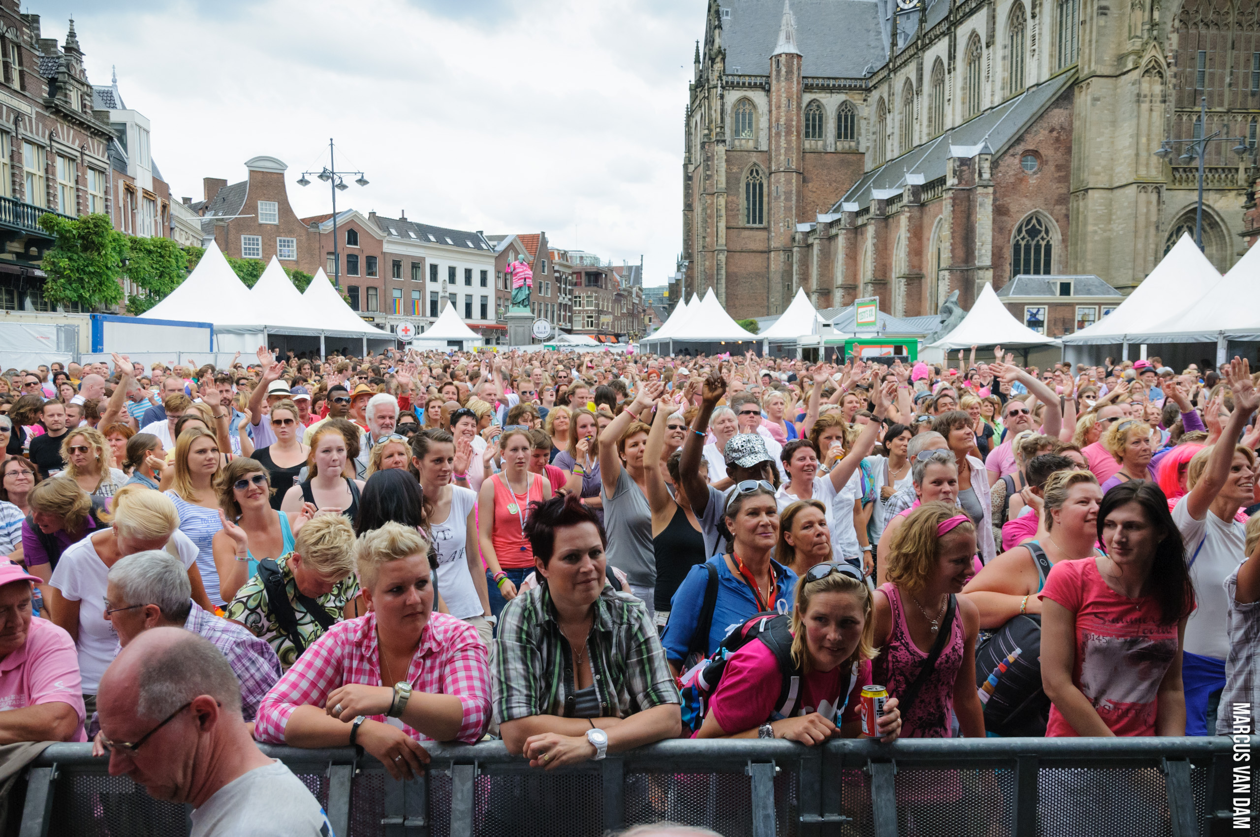 Roze Zaterdag (2012)